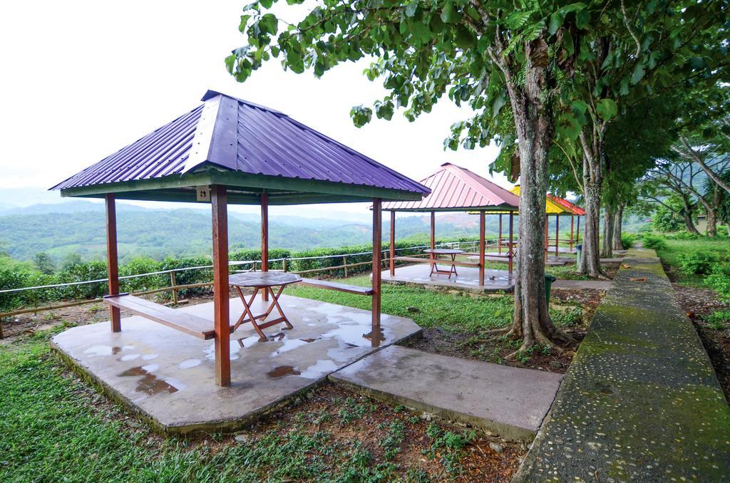 Sabah Tea Resort Ranau Buitenkant foto