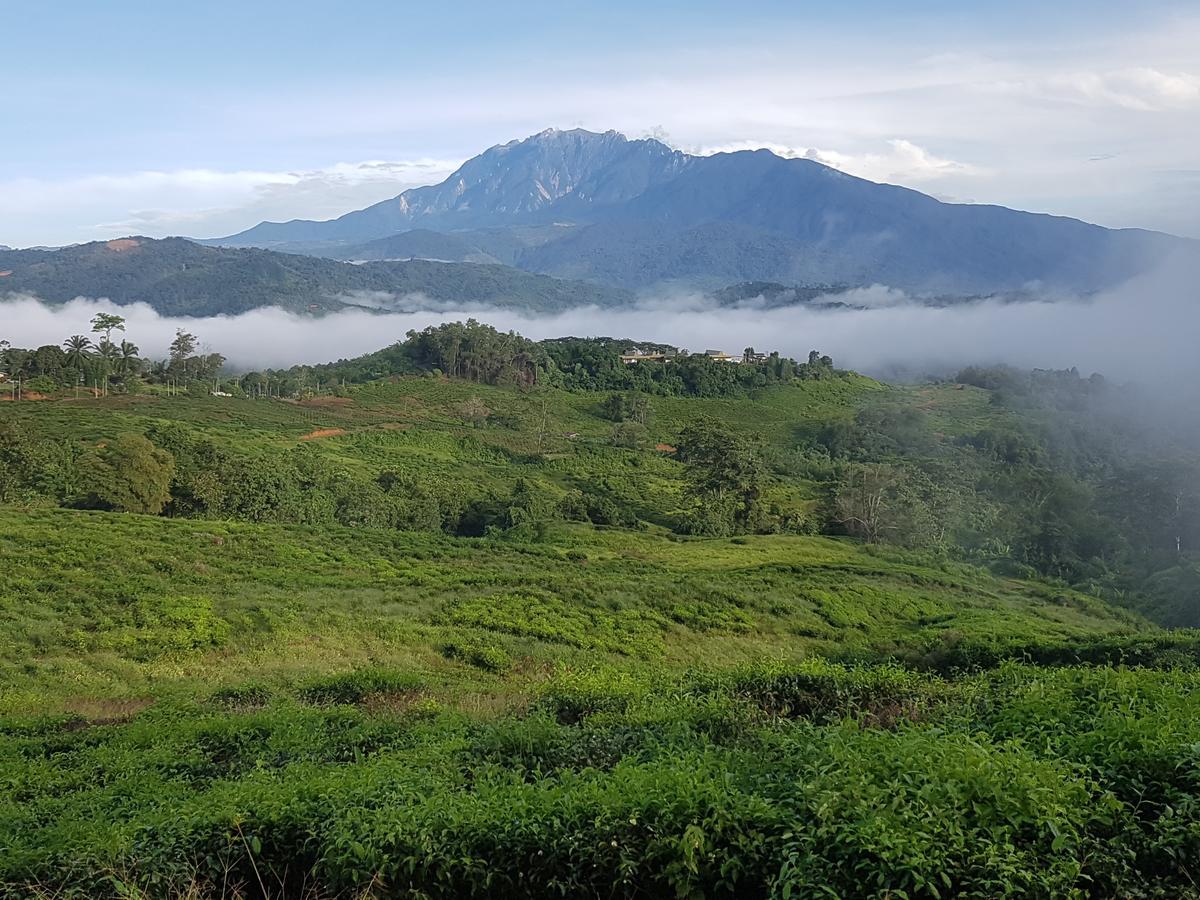 Sabah Tea Resort Ranau Buitenkant foto
