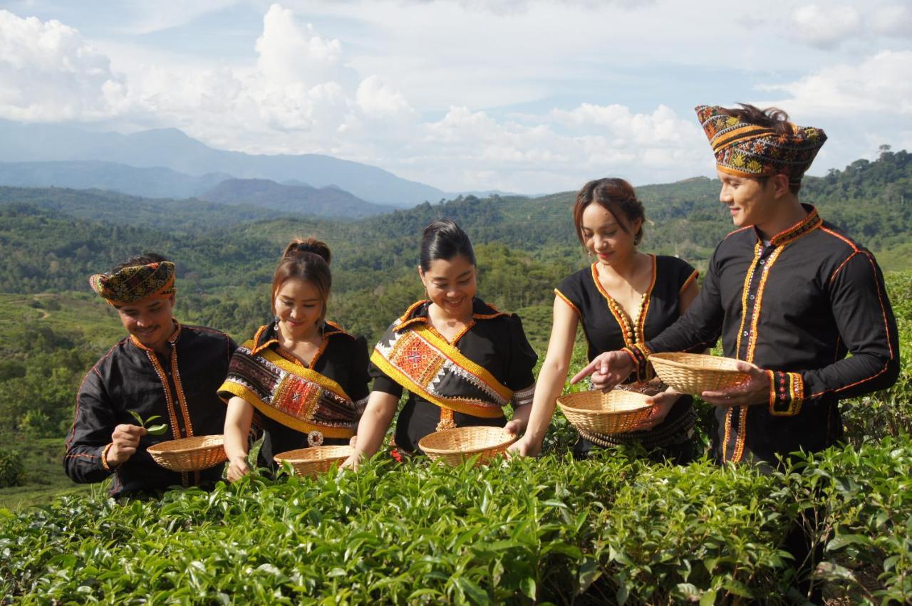 Sabah Tea Resort Ranau Buitenkant foto