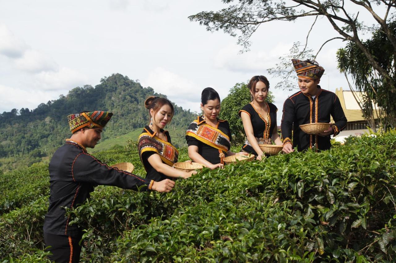 Sabah Tea Resort Ranau Buitenkant foto